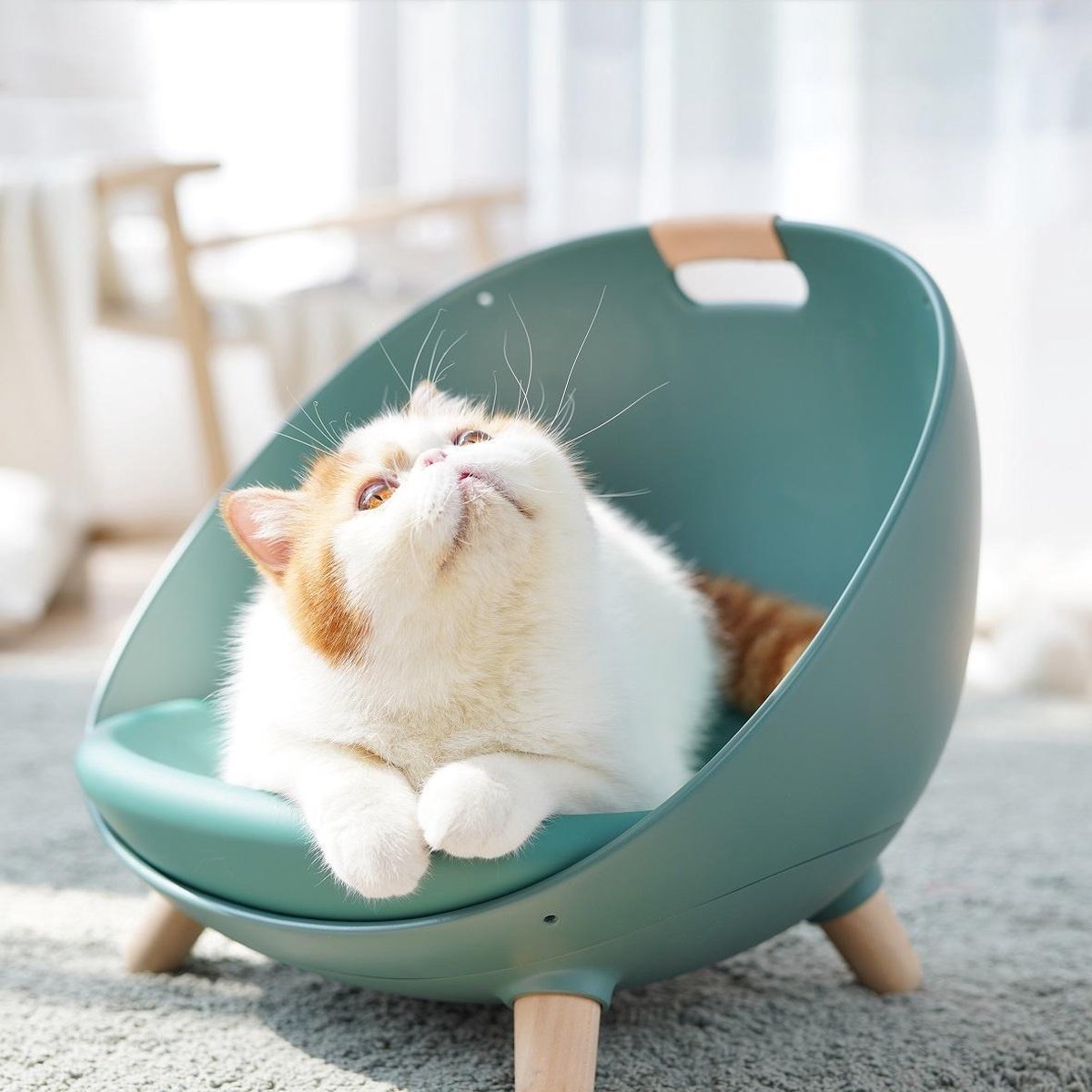 Afbeelding van MS Duku Cat Nest - Kattenmanden - Kattenmand - Comfortabel Kattenbed – Katten Mand - Esthetisch Ontwerp -