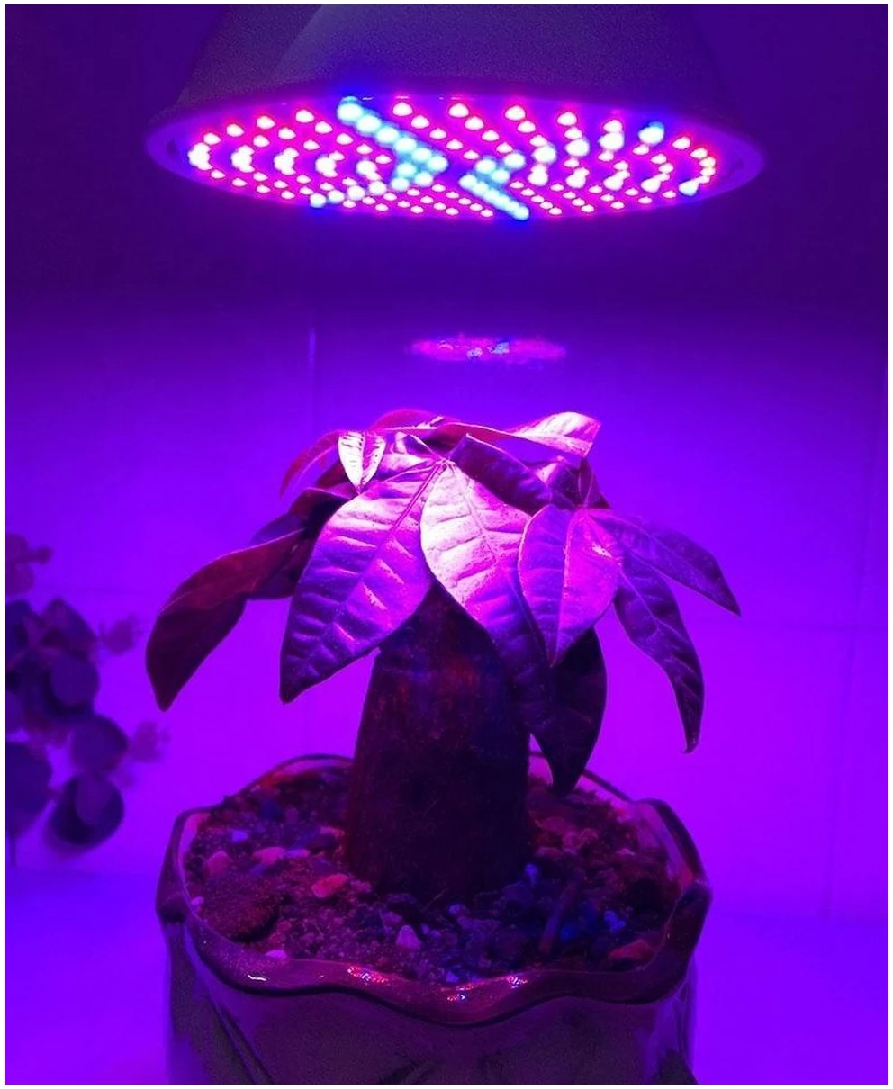 Afbeelding van LED Groei Lamp E27 met 54 leds - KWEEK LED Lamp - Voor Groei en Bloei - Groeilamp Set van 3 Stuks - ffbc 11f1