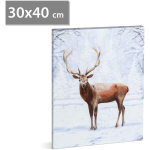 Afbeelding van LED-afbeelding - rendier - 2 x AA, 30 x 40 cm 1 Stuks [58475] - 02c8 53ab 4c88 b255 c705f4865eab