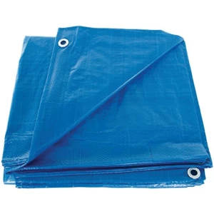 Afbeelding van Afdekzeil Zwembad Zwembadhoes 305×204 cm Blauw - Veilig, Duurzaam & Eenvoudig [56440] - 0481 c804 46b0