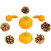 Afbeelding van Herfstdecoratie - pompoen- en kegelset - 9 stuks - 5-7 cm 1 Stuks [59004] - 08d9 b5e5 4bb6 a8ad 05a954c8ff5d 1