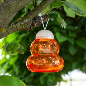 Afbeelding van Effectieve hangende insectenval voor buiten - vang wespen, vliegen en muggen zonder gif | Ø13 x H15 cm