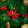 Afbeelding van Kerstdecoratie - kerstster - 50 cm 1 Stuks [59700] - 1591 5748 4c61 9b15 e249ad4d770f