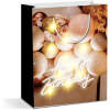 Afbeelding van Cadeauzakje - 10 LED's, papier - 265 x 127 x 330 mm - 2 soorten / verpakking 12 Stuks [58321] - 1918