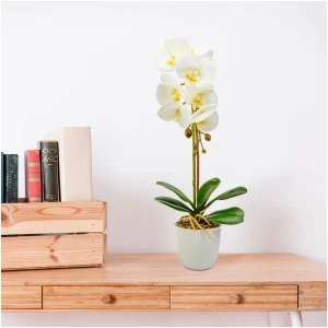 Afbeelding van Kunstplant - Woon Decoratie - Orchidee - Wit - 48 cm 1 Stuks [11901B] - 1c34 f156 418d b727 854c549e0ac4