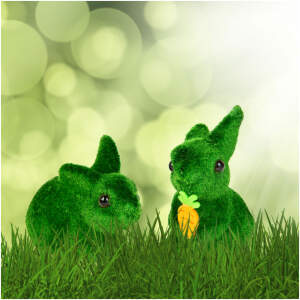 Afbeelding van Paasdecoratie - konijn - 2 soorten - 10 cm - groen 1 Stuks [CMK-5480] - 2503 1f39 41c5 a113 05e03cb84034