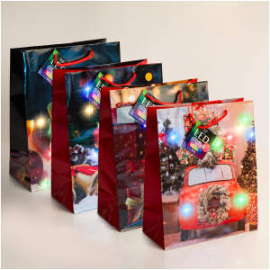 Afbeelding van Cadeauzakjes Cadeautasjes Kerst 12 Stuks [58326] - 2e59 b8d8 4181 82e0 99bc65f3c14e
