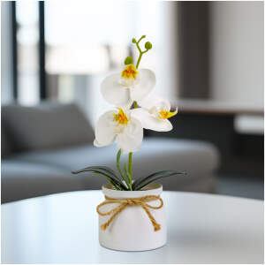 Afbeelding van Kunstplant - Woon Decoratie - orchidee - wit - 20 x 9 cm 1 Stuks [11889B] - 3454 0c8e 41b0 8969 5f2fca7e3860 1