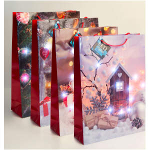 Afbeelding van Cadeauzakjes Cadeautasjes Kerst 12 Stuks [58327] - 43a8 7ff2 4e9e a661 344d2b18bbd5 1