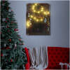 Afbeelding van Kerst LED-afbeelding - met ophanging, 2 x AA, 30 x 40 cm 1 Stuks [58467] - 534b e1cb 4e4e 895a 922b39cf5d9e