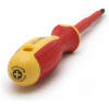 Afbeelding van Geïsoleerde Kruiskop Schroevendraaier PH2 x 6 x 100 mm - 1000V, Magnetische Punt, VDE [10569] - 5783 c2f9