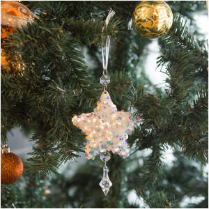 Afbeelding van Kerstboomversiering - iriserend, acryl - met hanger - 2 soorten 1 Stuks [58613] - 5b5a cffe 468d a2a8