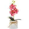 Afbeelding van Kunstplant - Woon Decoratie - Orchidee - roze - 20 x 9 cm 1 Stuks [11889A] - 60c2 9fe6 4bf8 ac0e cbd17ae50890