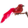 Afbeelding van Kerstversiering - clip - glittervogel - rood - 2 stuks / verpakking 1 Stuks [58643A] - 6c30 9b21 4a0c 804b