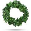 Afbeelding van Kerstversiering - groene slinger - 2,5 m 1 Stuks [58559C] - 7820 24d4 411c 9dfc 8a048dad5d47