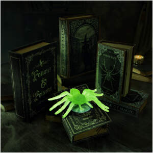 Afbeelding van Halloween fosforescerende decoratie - spin - met zuignap - 8 x 5 cm - 4 stuks / verpakking 1 Stuks [56546] -