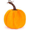 Afbeelding van Herfstdecoratie - pompoen - 3 soorten - 11 x 13 cm 1 Stuks [59030] - 8f52 328a 4410 ab63 1617c36c97c5