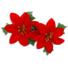 Afbeelding van Poinsettia Kerstbloem - Glinsterend Rood - 13 x 13 cm - 2 stuks per set [58967] - 92db ba14 49fb b0ba