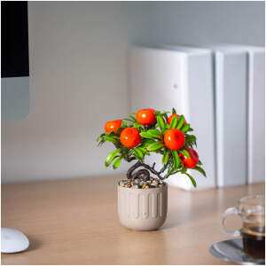 Afbeelding van Kunstplant - Woon Decoratie - zuiders fruit - 18 x 18 cm - 3 soorten 1 Stuks [11884] - 983f ee1a 4ec5 8b6e