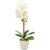 Afbeelding van Kunstplant - Woon Decoratie - Orchidee - Wit - 48 cm 1 Stuks [11901B] - 9fc7 0abc 4f82 8211 238036ad8398