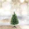 Afbeelding van Kunstkerstboom - 120 cm - PVC - donkergroen 1 Stuks [56486C] - b288 feae 49c9 a455 476cdfbf3132 8