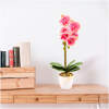 Afbeelding van Kunstplant - Woon Decoratie - Orchidee - Roze - 48 cm 1 Stuks [11901A] - b622 948d 41b9 a584 d84267ac92ab