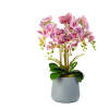 Afbeelding van Grote Kunstplant - Woon Decoratie - Orchidee - Paars - 83 cm 1 Stuks [11899A] - c506 617d 4a0e b591