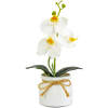 Afbeelding van Kunstplant - Woon Decoratie - orchidee - wit - 20 x 9 cm 1 Stuks [11889B] - c522 a9c3 4e6c b32d 13c2c3371161 1