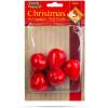 Afbeelding van Kerstdecoratie - rood fruit - 6 cm - 5 stuks / verpakking 1 Stuks [58550] - ccf3 fc6b 42ea afd4 a453a997688b