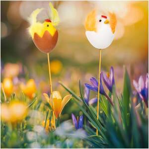 Afbeelding van Paasdecoratie - kuiken, hen - steekbaar - 28 cm 1 Stuks [CMK-7732] - d19e dff1 4adc 8783 2676d3c49e9b