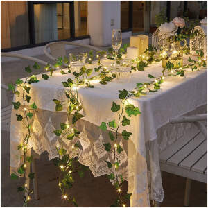 Afbeelding van LED-decoratie - 20 LED's - 2 m - warm wit 1 Stuks [58934B] - d6b3 4925 40c8 aa52 74e1608f235e 2