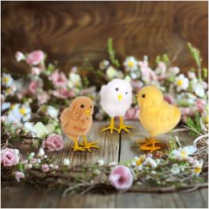 Afbeelding van Paasdecoratie - kuiken - 3 soorten - 11 x 7 x 6 cm 1 Stuks [CMK-7947] - e07f 93a1 4071 92c2 74e05545edd6 1
