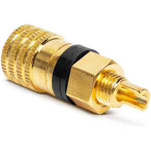 Afbeelding van Vergulde Bananenbus 4 mm – Geïsoleerde Paneelmontage Banana Socket – Soldeeraansluiting – Zwarte