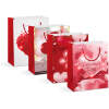 Afbeelding van Cadeauzakje - 5 rode LED's, papier - 178 x 102 x 228 mm - 4 soorten / verpakking - 12 stuks / verpakking
