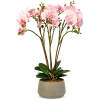 Afbeelding van Kunstplant - Woon Decoratie - orchidee - roze - 58 cm 1 Stuks [11900A] - ee4c c45a 4662 8fab a48c17cfbac0