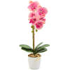 Afbeelding van Kunstplant - Woon Decoratie - Orchidee - Roze - 48 cm 1 Stuks [11901A] - fbbd 011b 4004 b618 a3cdedc78627
