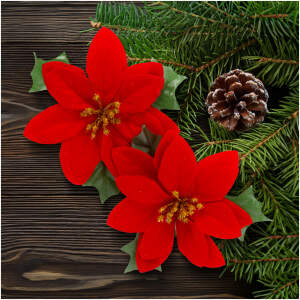 Afbeelding van Poinsettia Kerstbloem - Glinsterend Rood - 13 x 13 cm - 2 stuks per set [58967] - fd0b 8be3 435e 9b78