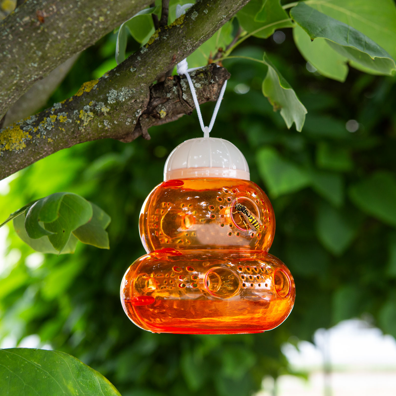 Afbeelding van Insectenval voor Buiten – Insectenvanger met Lokvloeistof – Ø 13 x 15 cm – Ophangbaar – Voor