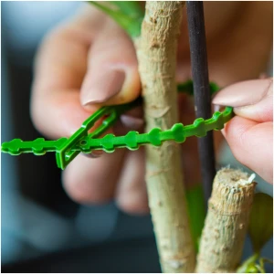 Afbeelding van Oplosbare Plantenbinders – Set Van 40 Stuks – 165 Mm – Donkergroen – Flexibele Plantclips Voor