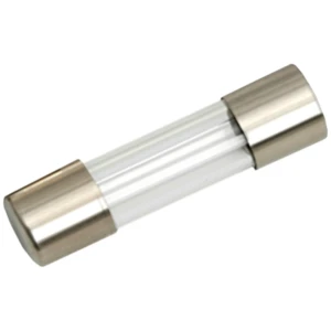 Afbeelding van 10x Snelle Glaszekering 5 X 20 Mm 1,6 A – Fast Acting Glass Fuse Voor Auto En Car Audio – Glaszekering