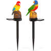 Afbeelding van 1x Solar Tuindecoratie Papegaai met LED op Zonne-Energie – Warm Wit LED Licht – Met Grondpen –