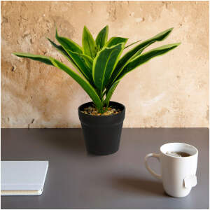 Afbeelding van Kunstplant - Woon Decoratie - Dracaena - 20 x 8,5 cm 1 Stuks [11891B] - 275c 4992 4912 ac07 0ae93625f630