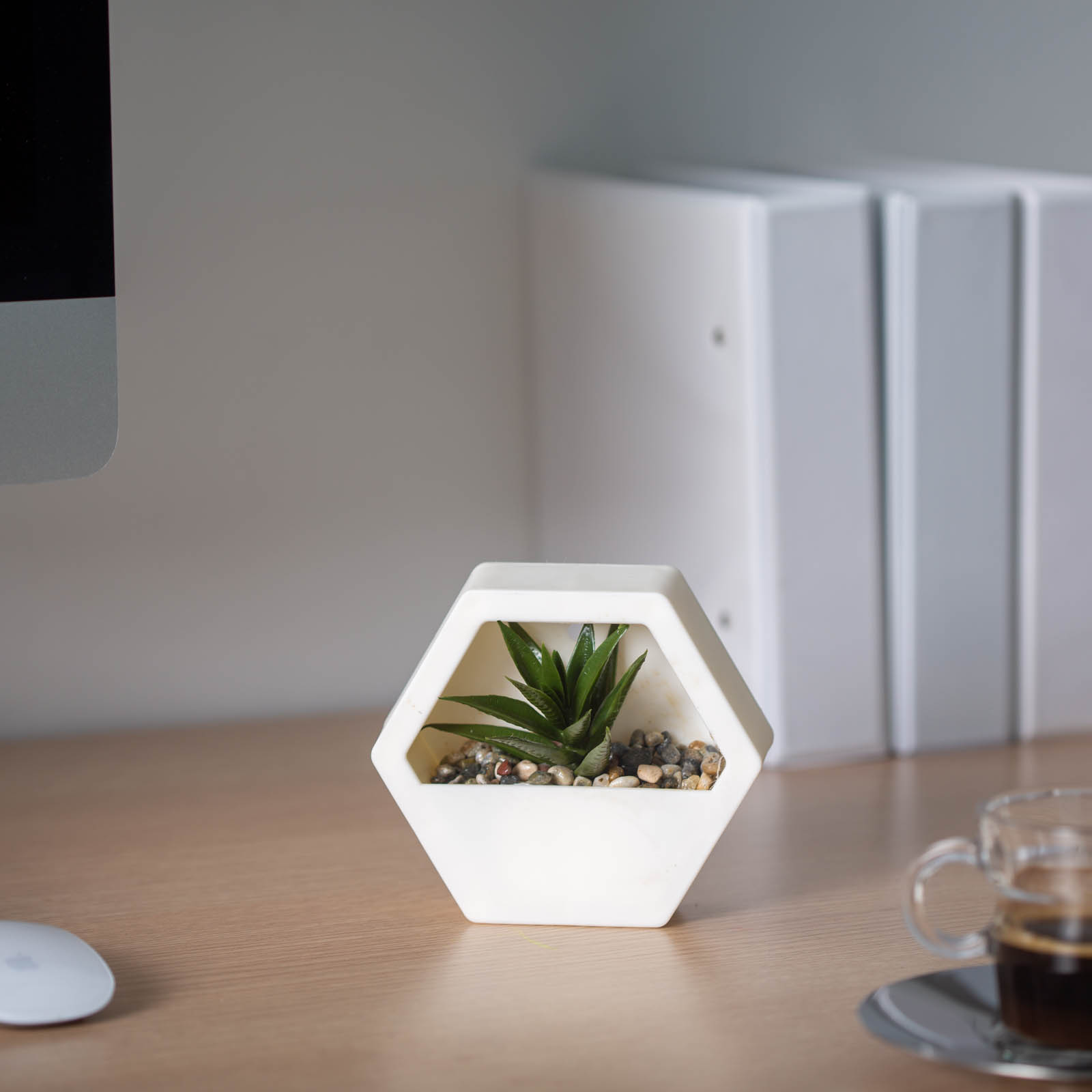 Afbeelding van Kunstplant Wanddecoratie – Kunstmatige Plant – 13 X 12 Cm – Wandmontage – 4 Varianten –