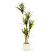 Afbeelding van Grote Kunstplant - Woon Decoratie - Palm - Groen - 1,5 m 1 Stuks [11904] - 3e3f 4f77 4d98 bbb1 8debb2ecf1c9