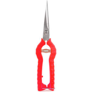 Afbeelding van Tuin Schaar – Dun Recht Snijblad – Bloemenschaar / Tuinschaar – Snijdiameter tot 5 mm – Met Veer en