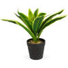 Afbeelding van Kunstplant - Woon Decoratie - Dracaena - 20 x 8,5 cm 1 Stuks [11891B] - 79dd bd33 4e9e b5cf ed50b52b4da2