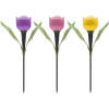 Afbeelding van Solar LED Tulp Tuinlamp – Steeklamp Op Zonne-Energie – 30 Cm – 1 LED – Automatisch Aan Bij Schemer