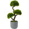 Afbeelding van Kunstplant voor Binnen - Woon & kamer Decoratie - Bonsai - Nepplant - 55 x 27 cm 1 Stuks [11909] - 83e4