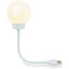Afbeelding van Nacht Sfeerlamp - Maanlantaarn - Warm Wit LED - USB Voeding - 3D Geprinte Maanstructuur - Ø65 mm - Voor