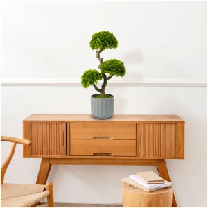 Afbeelding van Kunstplant voor Binnen - Woon & kamer Decoratie - Bonsai - Nepplant - 55 x 27 cm 1 Stuks [11909] - ac68
